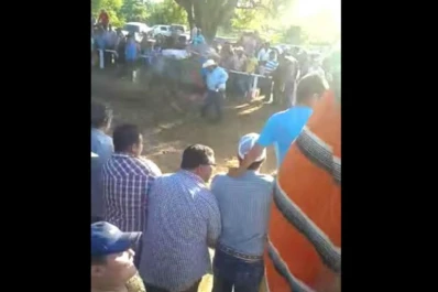Entró a la pista a celebrar que su caballo había ganado y murió atropellado