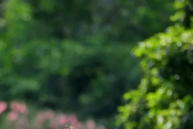 Dio señales de estar encendido