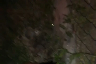 Vecinos del barrio AGEF golpearon a un supuesto ladrón