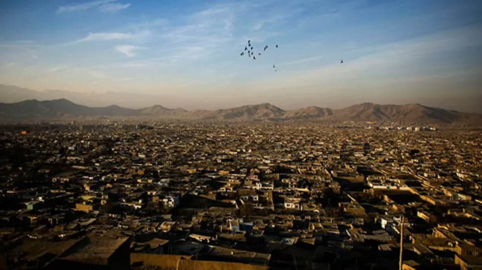 Pájaros suicidas, la nueva arma de talibanes en Afganistán