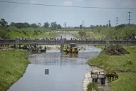 Desesperada búsqueda del peregrino en el canal