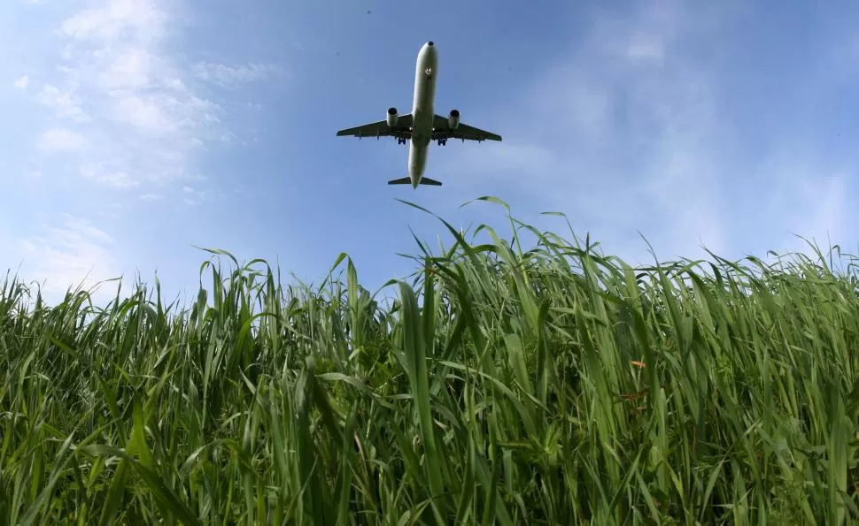EXPERIENCIA. El nuevo biocarburante se probará en los vuelos de 2015. uusisuomi.fi 