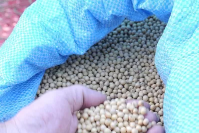 Sólo los operadores inscriptos en RUCA podrán comercializar