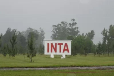 “Pampero TV” es  el nuevo programa que lanzó el INTA