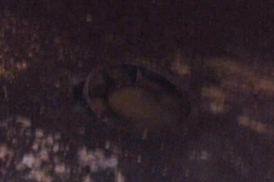 Una boca de tormenta casi provoca una tragedia en Lomas de Tafí