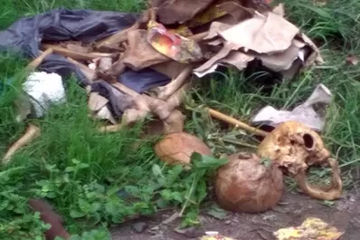 Hallaron restos humanos en cercanías del centro tucumano