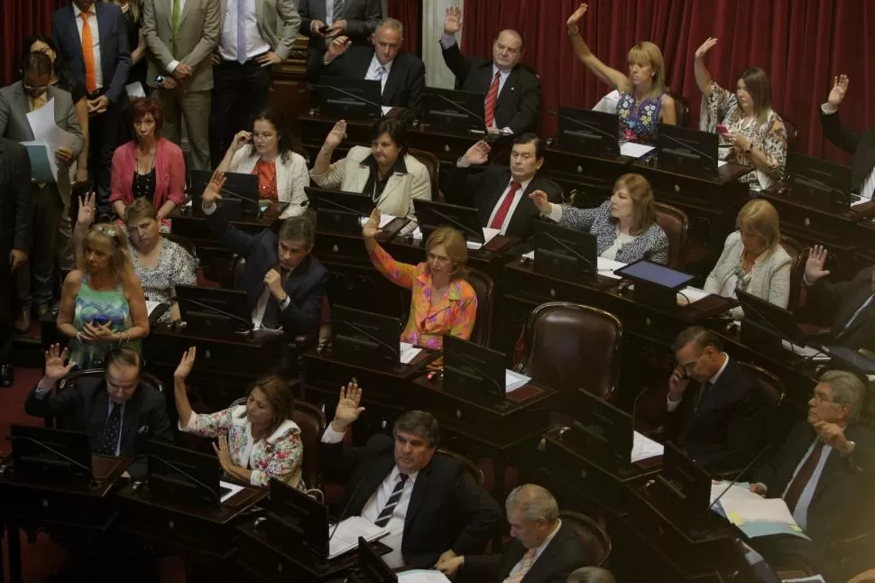 SENADORA FIEL. Al centro aparece Beatriz Rojkés de Alperovich, votando a favor de la elección de delegados al Parlamento del Mercosur. dyn
