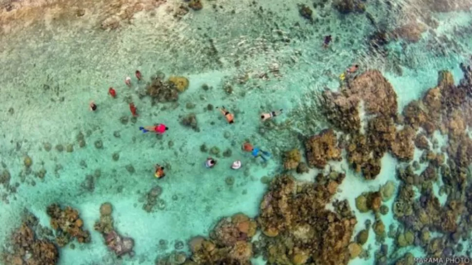 Jardín de Corales en la Laguna de Tahaa, en la Polinesia francesa.