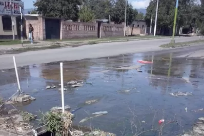Mugre, contaminación y peligro en iguales cantidades