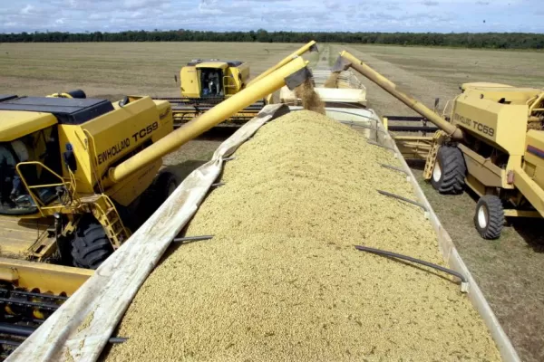 El Gobierno busca identificar a los productores que tengan stock de soja