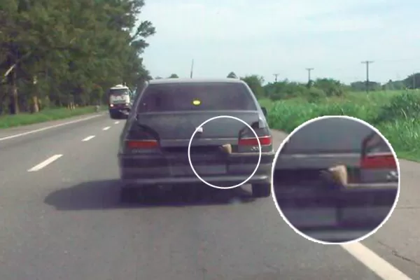 Misterio en la ruta 38: ¿qué sale del baúl este auto sin patente?