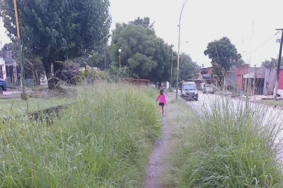 Las malezas se adueñaron de las veredas de Villa Carmela
