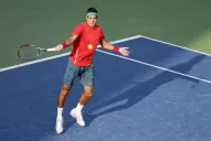 Del Potro cuenta las horas para su vuelta