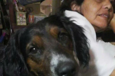 Su perro se perdió luego de evitar un robo