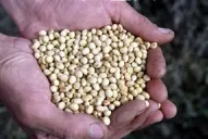 Las empresas petroleras van camino de perder capitalización