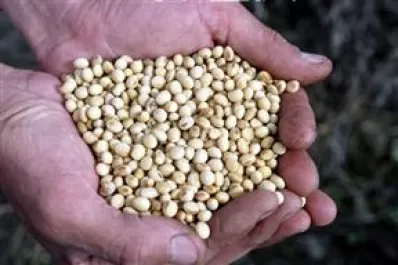 Las empresas petroleras van camino de perder capitalización