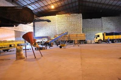 Como la ley azucarera, pero para regular la producción de uva