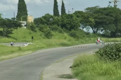 Vialidad pide que eliminen los falsos “reductores” de la ruta