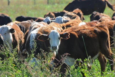 Debe discutirse una política clara y concisa
