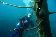 Villa Traful es un paraíso escondido en la Patagonia