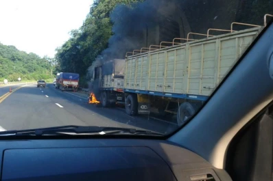 Ardió un camión en la ruta 9