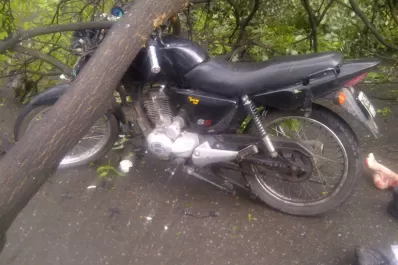 Un árbol cayó sobre un motociclista en El Bajo
