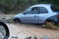 La tormenta causó estragos en toda la provincia