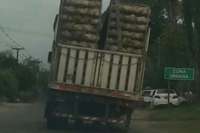 Inclinado, cargado de pollos y a 100 km por hora circulaba en plena zona urbana