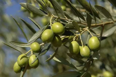 Agricultura destina 19 millones de pesos para asistir a pequeños productores de La Rioja