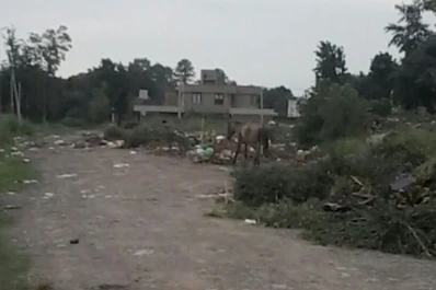 Un basural no para de florecer en Yerba Buena