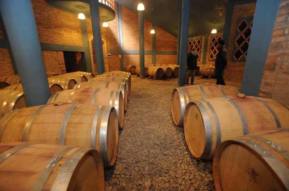 ESTADO AL LÍMITE. Los productores vitivinícolas están preocupados porque las uvas ya producidas no puedan ser industrializadas en las bodegas. la gaceta / foto de osvaldo ripoll(archivo)
