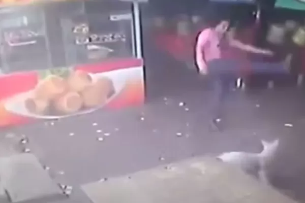 Intentó patear a un perro y recibió una inesperada lección