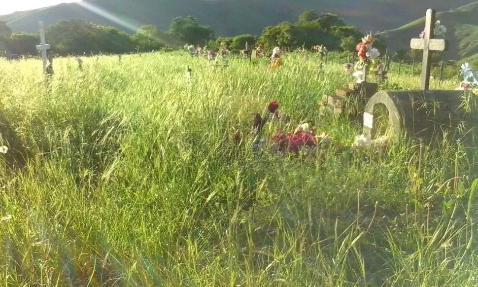 Los pastizales están tapando las tumbas del cementerio de Potrero Rodeo Grande