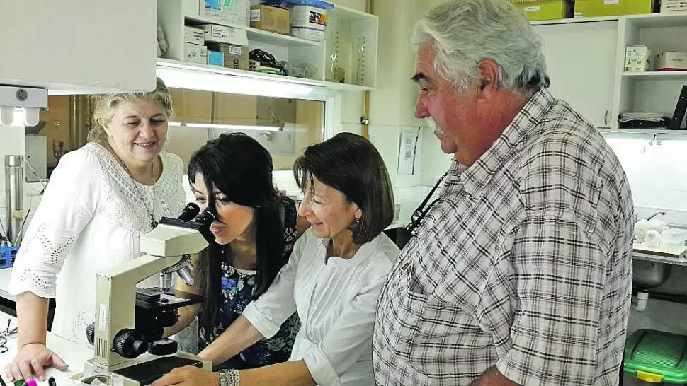 EL EQUIPO. Las doctoras Fátima Nader, Natalia Maldonado y Viviana Santos, con el veterinario José Charaviglio, en el laboratorio del Cerela. 