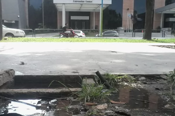 En el parque 9 de Julio el agua fluye de caños rotos