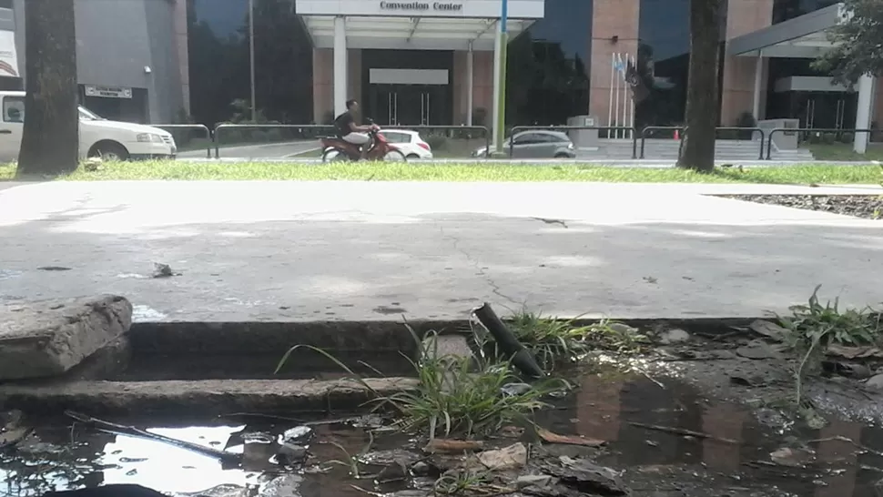 DESPERDICIO. El agua potable se escapa de un caño frente a uno de los hoteles sobre avenida Soldati. FOTO ENVIADO POR UN LECTOR