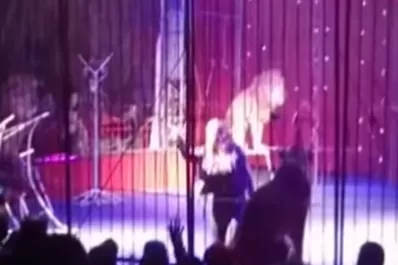 Un león atacó a su domadora en plena función