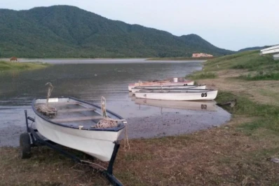 Llega la competencia