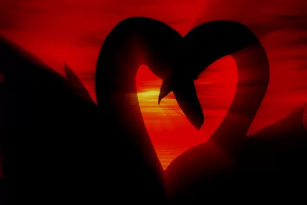 Cada signo y su manera particular para festejar un buen San Valentín