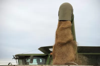 El Ejecutivo libera la exportación  de otro millón de toneladas de trigo