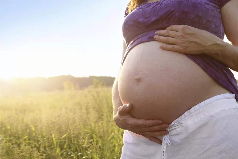 DURANTE EL EMBARAZO. La ecografía cardíaca fetal permite detectar en forma precoz una anomalía. healthrow.net/