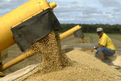 Con proyección de cosecha récord, sube el valor de la soja