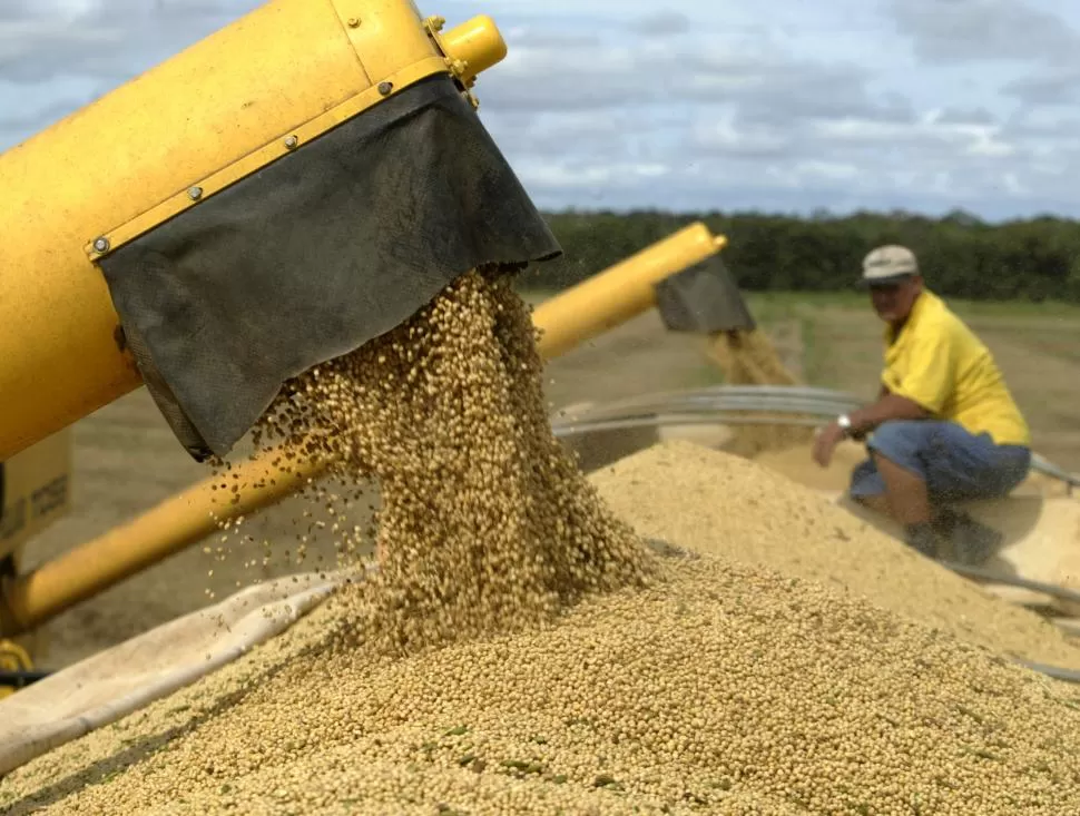 ESTIMACIONES. Según la Bolsa de Rosario, la cosecha llegaría a los 58 millones de toneladas de soja. reuters