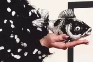 La alfombra roja de los detalles