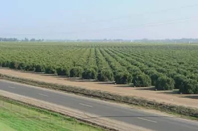 El Senasa sugiere no vender productos de origen desconocido