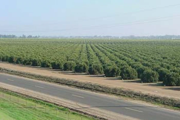 El Senasa sugiere no vender productos de origen desconocido