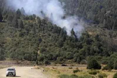 Las llamas ya consumieron 10.000 hectáreas de bosque precordillerano