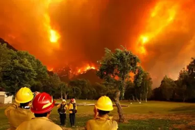 Incontrolables: los incendios en Chubut ya consumieron 14.000 hectáreas de bosques