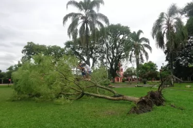 Las casas de 10 familias quedaron sin techo en el sur