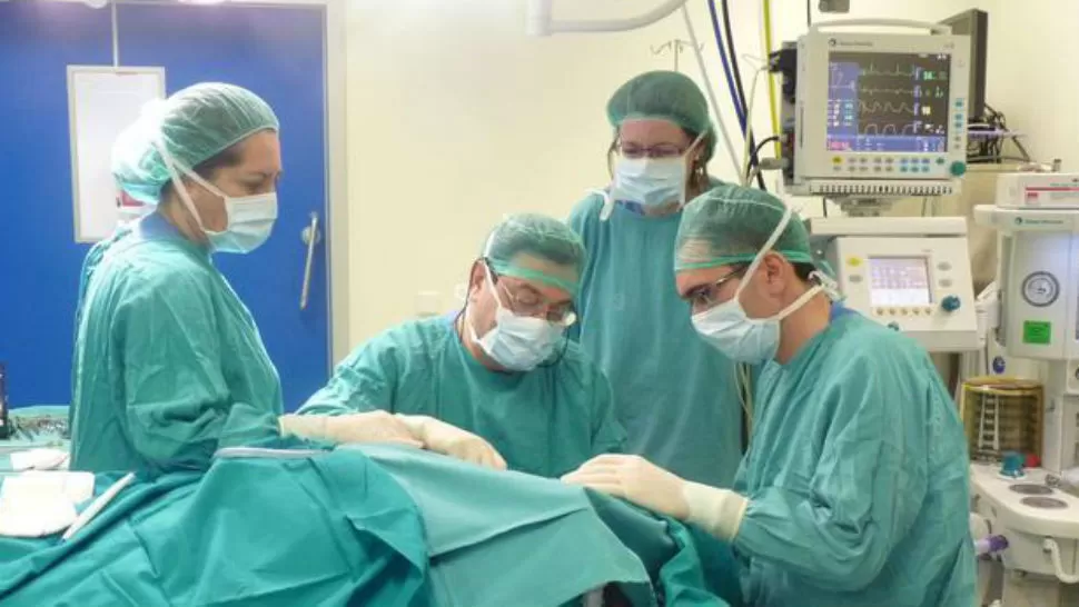 A LA ESPERA. El primer trasplante de cabeza será posible en 2017